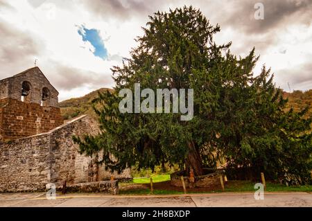 Romanische Kirche von San Juan de Santibanes de la Fuente. Stockfoto