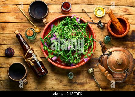 Distel oder Silybum marianum in der Kräutermedizin milken Stockfoto