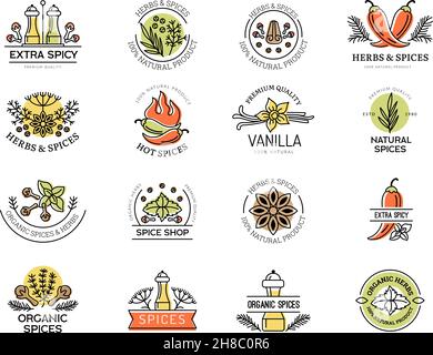 Abzeichen mit Gewürzen. Küche Zubereitung von Lebensmitteln pflanzliche Inhaltsstoffe gesundes natürliches Aroma Blätter Kräuter Gewürze jüngsten Vektor-Etiketten mit Platz für Text Stock Vektor