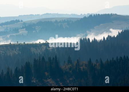 Neblige Reiseszenerie in den Bergen. Wunderschöne Herbstmorgendlandschaft mit Wäldern auf Hügeln Stockfoto