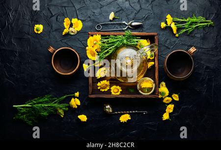 Heilender Blumentee. Teekannen mit Chrysantheme Blumen Tee. Kräutermedizin, Tee zubereiten Stockfoto