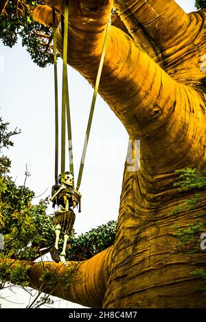 Der Fallschirmjäger, der in den Universal Studios Singapore am Baum hängt, ist ein Themenpark im Resorts World Sentosa auf der Insel Sentosa in Singapur. Stockfoto