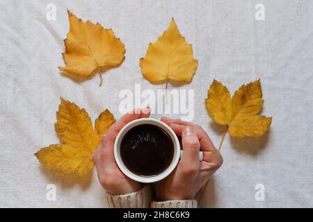 Weibliche Hände halten eine Tasse Kaffee und gefallene gelbe Blätter auf weißem Hintergrund. Konzept der Herbstsaison. Nahaufnahme, selektiver Fokus Stockfoto