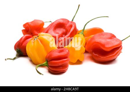 Mehrere Habanero Chilis auf einem Haufen Stockfoto