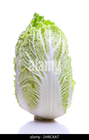 Chinesischer Kohl steht von vorne auf weißem Hintergrund Stockfoto