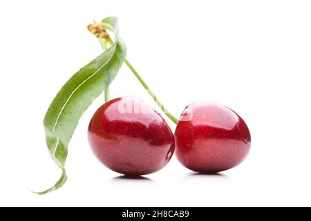 Zwei rote Kirschen mit Stiel und Blatt isoliert auf weißem Hintergrund Stockfoto