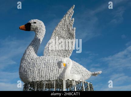 Schwanendekoration für Weihnachten, Stratford-upon-Avon, Warwickshire, England, Großbritannien Stockfoto