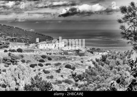 Schwarz-Weiß-Ansicht von einem Blick auf die Insel Gorgona, Italien Stockfoto