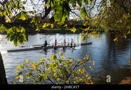 Rudererinnen trainieren im Herbst auf dem Fluss Avon, Stratford-upon-Avon, Warwickshire, England, Großbritannien Stockfoto