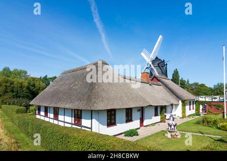 Guldborgsund: Reetdachhaus, Windmühle in , Falster, Dänemark Stockfoto