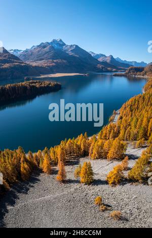 Luftaufnahme des Sils-Sees mit Piz da la Margna im Herbst. Sils im Engadin/Segl, Engadin, Schweiz, Kanton Graubünden. Stockfoto