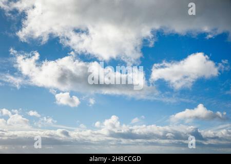 Flauschige Wolken, Schleierwolken und Kumuluswolken schmücken den blauen Himmel bei starken Winden, Schweiz Stockfoto