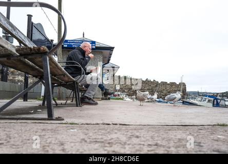 Eldely Mann, der seinen Fisch und seine Chips isst, während junge Heringsmöwen zuschauen. Stockfoto