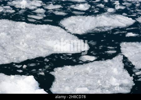 packen Sie Eis in Neko Harbour in Andvord Bay, Abschnitt, Antarktis Stockfoto