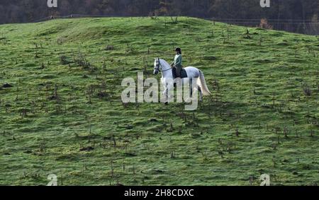 Pferd und Reiter. Dame auf einem weißen andalusischen Pferd am Hang Großbritannien, Großbritannien, 2021 Stockfoto