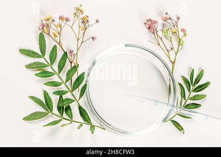 Abstraktes Naturkosmetiklabor. Öko Bio-Konzept für die Gesundheitsversorgung. Draufsicht, flacher Stil, Platz für Produkt oder Text. Stockfoto