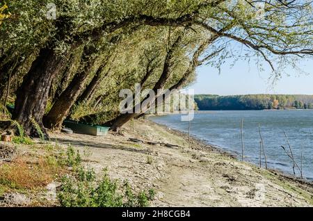 Das Ufer der Donau im Herbst in der Nähe der Stadt Novi Sad. Stockfoto