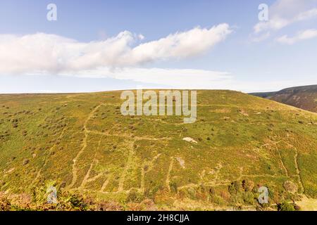 Wanderwege an den steilen Hängen des Carding Mill Valley, Long Mynd, Shropshire Hills, England Area of Natural Beauty, Stockfoto