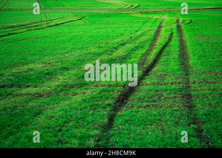 Landschaft in der Nähe des Dorfes Gewissenruh, Wesertal, Weser-Hochland, Weserbergland, Hessen, Deutschland, digital verändert Stockfoto