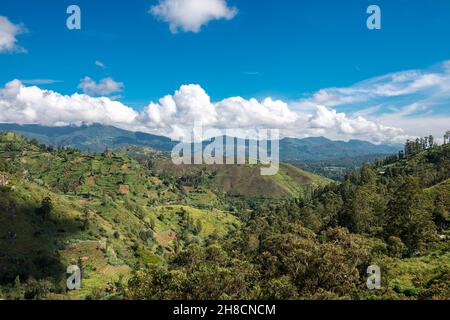 Sri Lanka, La Province d'Uva, Uva Province, die Uva Province, champs, Kulturen, Felder, Felder, Panorama Stockfoto