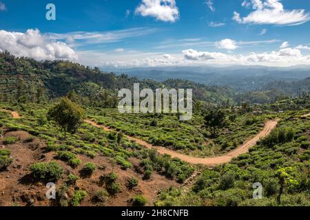 Sri Lanka, La Province d'Uva, Uva Province, die Uva Province, champs, Kulturen, Felder, Felder, Panorama Stockfoto