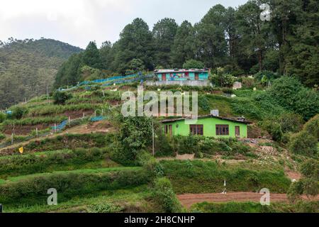 Sri Lanka, Province du Centre, Centrale Province, Maisons, Häuser, Häuser, champs, Kulturen, Felder, Felder Stockfoto