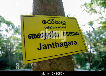 Sri Lanka, Province Centrale, Zentral Provinz, Centrale Province, Ritigala est une montagne du Centre du Sri Lanka qui abrite un ancien monastère boud Stockfoto