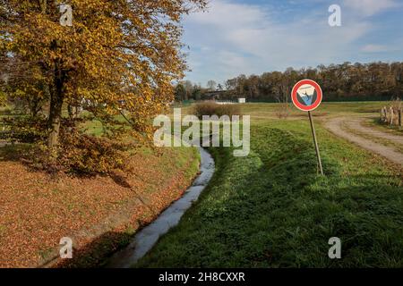 11/10/2021, Datteln, Nordrhein-Westfalen, Deutschland - der Westerbach ist nach dem Bau eines parallelen Kanals nun abwasserkanalfrei, gehört zum Stockfoto