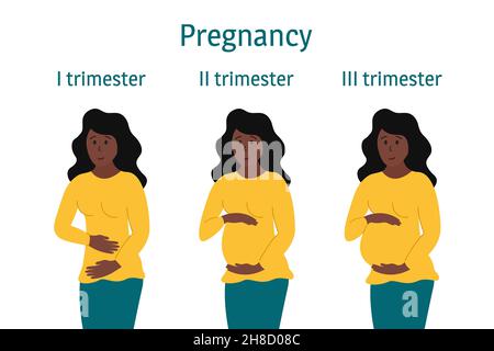 Schwangerschaftsstrimester. Schwanger afroamerikanische Frau stehend, lächelnd und berühren Bauch in verschiedenen Stadien. Der Körper verändert sich, der Bauch wächst. Vektorinformationen Stock Vektor