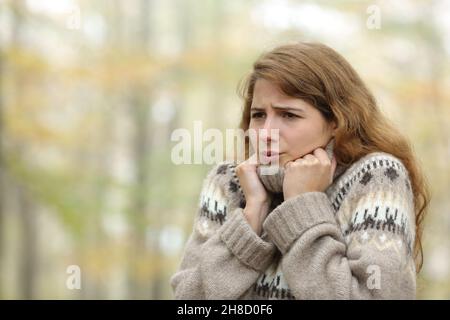 Gestresste Frau, die im Winter kalt wird und in einem Park steht Stockfoto