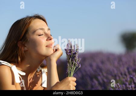 Entspanntes Weibchen hält Bouquet ruht im Lavendelfeld Stockfoto