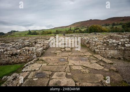 Vindolanda Römisches Fort und Dorf in der Nähe der Hadrianmauer, Northumberland, Großbritannien Stockfoto