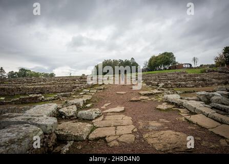 Vindolanda Römisches Fort und Dorf in der Nähe der Hadrianmauer, Northumberland, Großbritannien Stockfoto