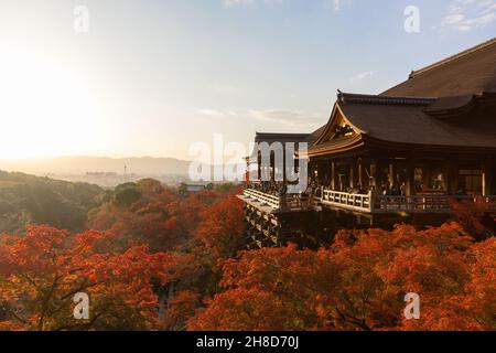 Kyoto, Japan. 25th. November 2021. Herbstblattfarbe umgibt die Haupthalle des buddhistischen Tempels Kiyomizu-dera in Kyoto. (Foto: Stanislav Kogiku/SOPA Images/Sipa USA) Quelle: SIPA USA/Alamy Live News Stockfoto