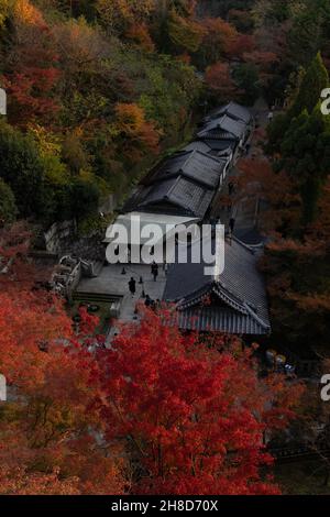 Kyoto, Japan. 25th. November 2021. Herbstblattfarbe umgibt den buddhistischen Tempel Kiyomizu-dera in Kyoto. (Foto: Stanislav Kogiku/SOPA Images/Sipa USA) Quelle: SIPA USA/Alamy Live News Stockfoto