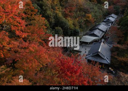 Kyoto, Japan. 25th. November 2021. Herbstblattfarbe umgibt den buddhistischen Tempel Kiyomizu-dera in Kyoto. (Foto: Stanislav Kogiku/SOPA Images/Sipa USA) Quelle: SIPA USA/Alamy Live News Stockfoto