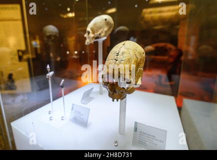 Antakya, Hatay Region, Türkei. Schädel im Archäologischen Museum von Antakya Stockfoto