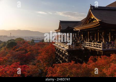 Kyoto, Japan. 25th. November 2021. Herbstblattfarbe umgibt die Haupthalle des buddhistischen Tempels Kiyomizu-dera in Kyoto. (Foto: Stanislav Kogiku/SOPA Images/Sipa USA) Quelle: SIPA USA/Alamy Live News Stockfoto