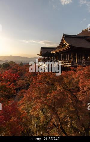 Kyoto, Japan. 25th. November 2021. Herbstblattfarbe umgibt die Haupthalle des buddhistischen Tempels Kiyomizu-dera in Kyoto. (Foto: Stanislav Kogiku/SOPA Images/Sipa USA) Quelle: SIPA USA/Alamy Live News Stockfoto