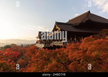 Kyoto, Japan. 25th. November 2021. Herbstblattfarbe umgibt die Haupthalle des buddhistischen Tempels Kiyomizu-dera in Kyoto. (Bild: © Stanislav Kogiku/SOPA Images via ZUMA Press Wire) Stockfoto