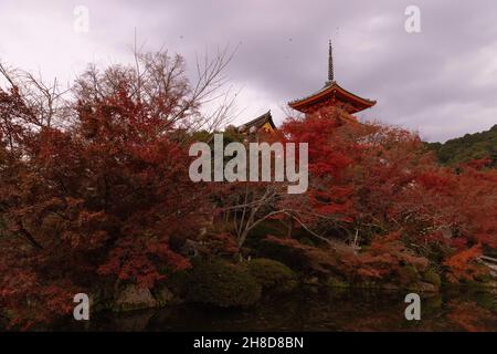 25. November 2021, Kyoto, Japan: Dreistöckige Pagode im buddhistischen Tempel Kiyomizu-dera in Kyoto, umgeben von Herbstblättern. (Bild: © Stanislav Kogiku/SOPA Images via ZUMA Press Wire) Stockfoto