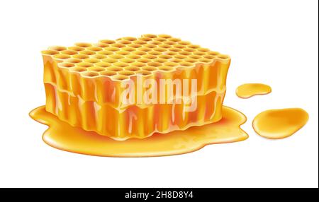 Süßer Honigkamm auf weißem Hintergrund, realistische Vektordarstellung aus der Nähe Stock Vektor