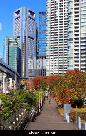Herbst in Shiodome, Tokio, Japan. Herbstfärbung in Japan. Stockfoto