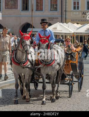 Zwillingspferde mit leuchtend rot verzierten Ohrdeckeln ziehen eine Kutsche durch die historischen Straßen der Prager Altstadt Stockfoto