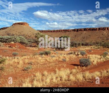 Australien. Northern Territory. Landschaft in der Nähe von Barrow Creek. Stockfoto