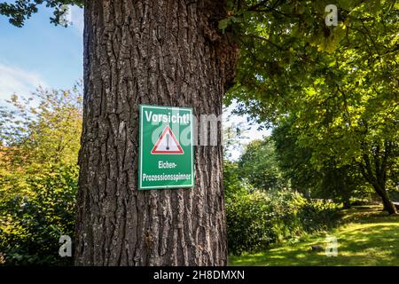 Datteln, Nordrhein-Westfalen, Deutschland - Vorsicht Eichen-Prozessionsmotte. Ein Warnschild auf der Eiche warnt vor den Eichen-Prozessionärsteln. Stockfoto