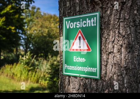 Datteln, Nordrhein-Westfalen, Deutschland - Vorsicht Eichen-Prozessionsmotte. Ein Warnschild auf der Eiche warnt vor den Eichen-Prozessionärsteln. Stockfoto