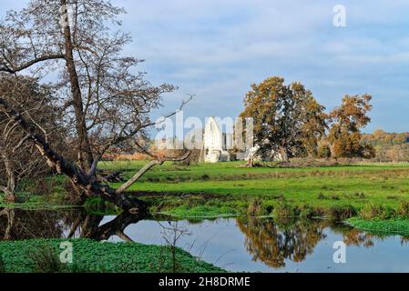 Die Ruinen von Newark Priory am Fluss Wey in Pyrford an einem sonnigen Herbsttag in Surrey England Stockfoto