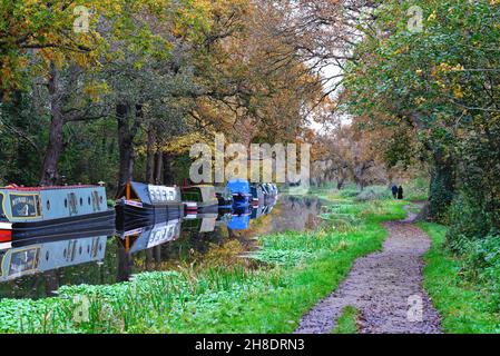 Der River Wey Navigationskanal in der Nähe von Ripley an einem ruhigen, farbenfrohen Herbsttag in Surrey England Stockfoto