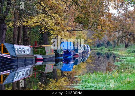 Der River Wey Navigationskanal in der Nähe von Ripley an einem ruhigen, farbenfrohen Herbsttag in Surrey England Stockfoto